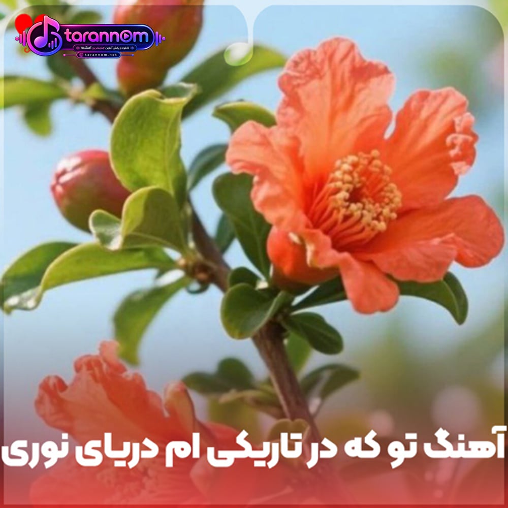 تو که در تاریکی ام دریای نوری