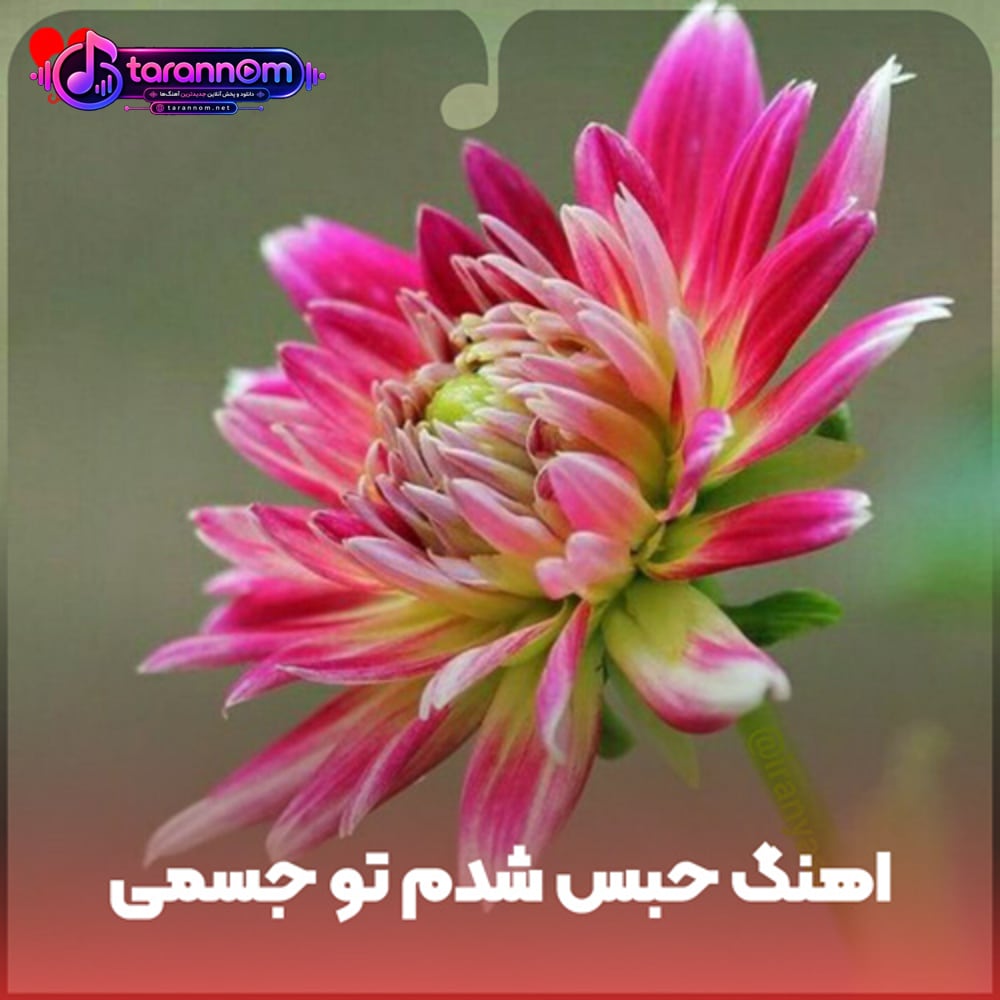 حبس شدم تو جسمی که با تو خاطره داره