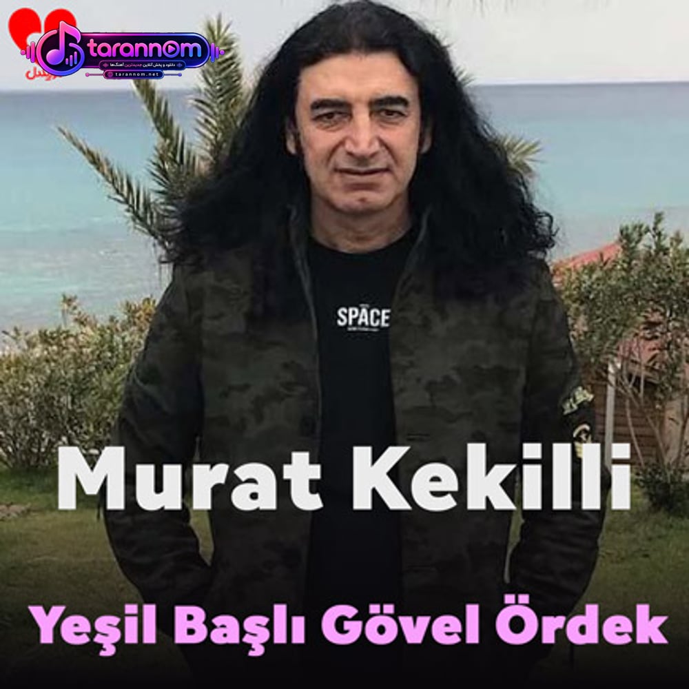 Yeşil Başlı Gövel Ördek