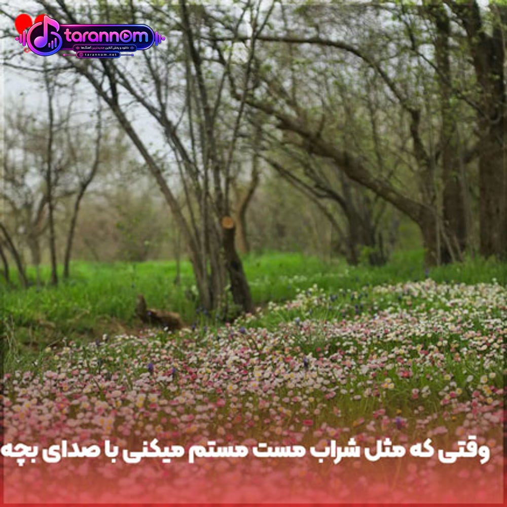 وقتی که مثل شراب مست مستم میکنی