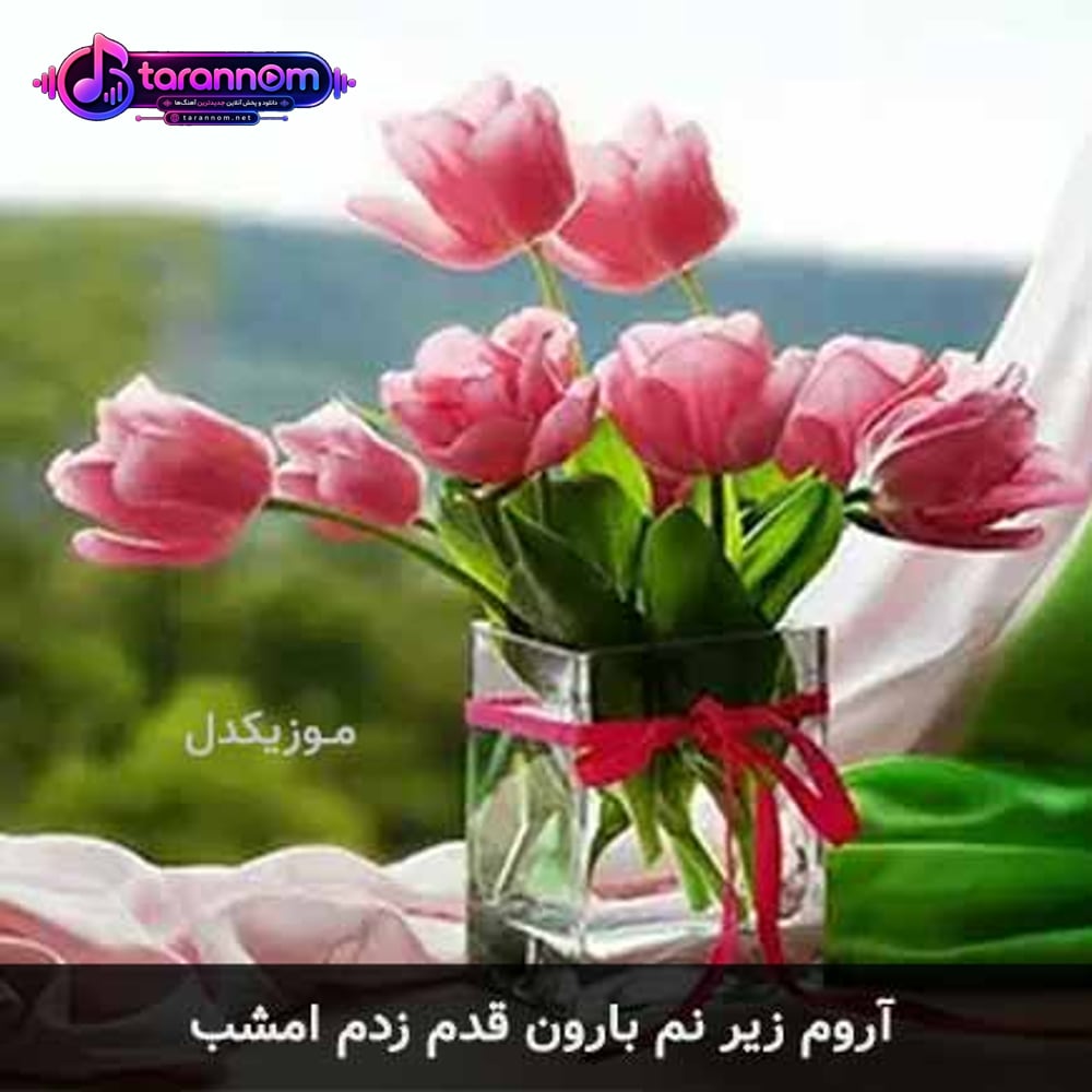 آروم آروم زیر نم بارون قدم زدم امشب