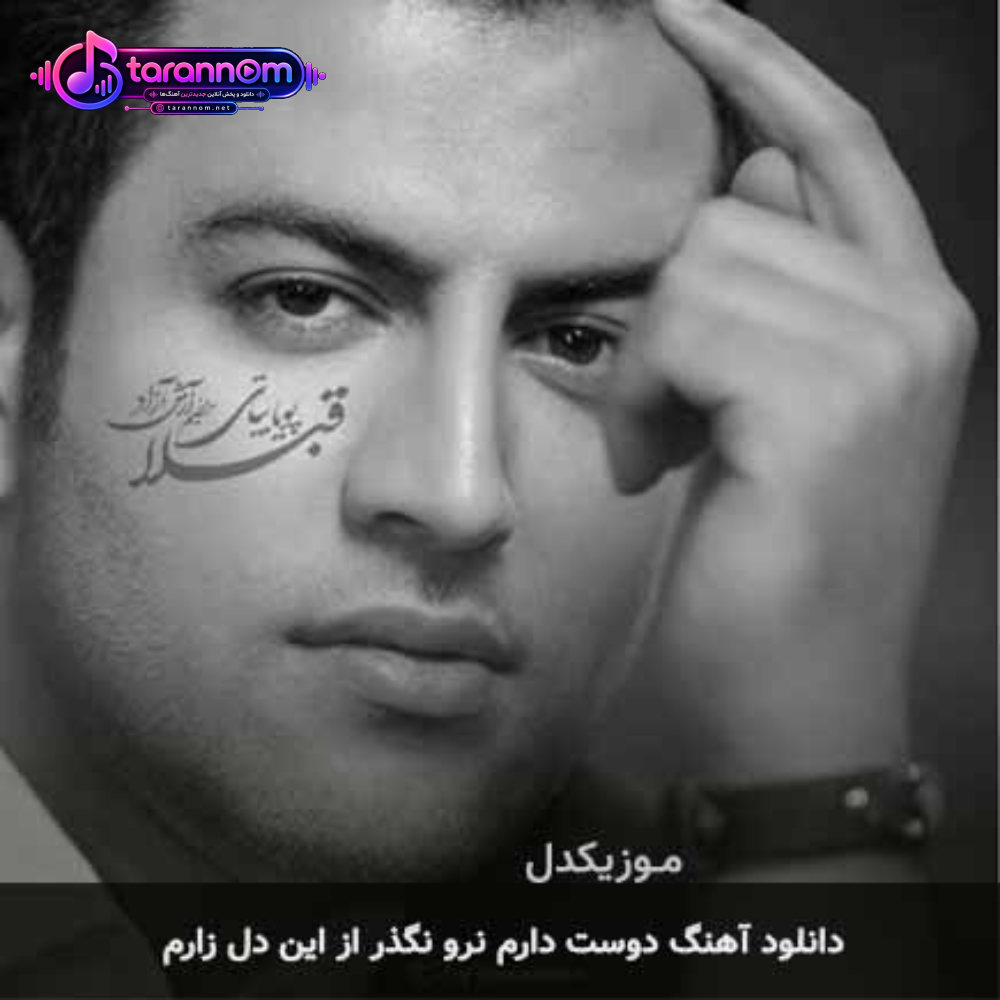 دوست دارم نرو نگذر از این دل زارم