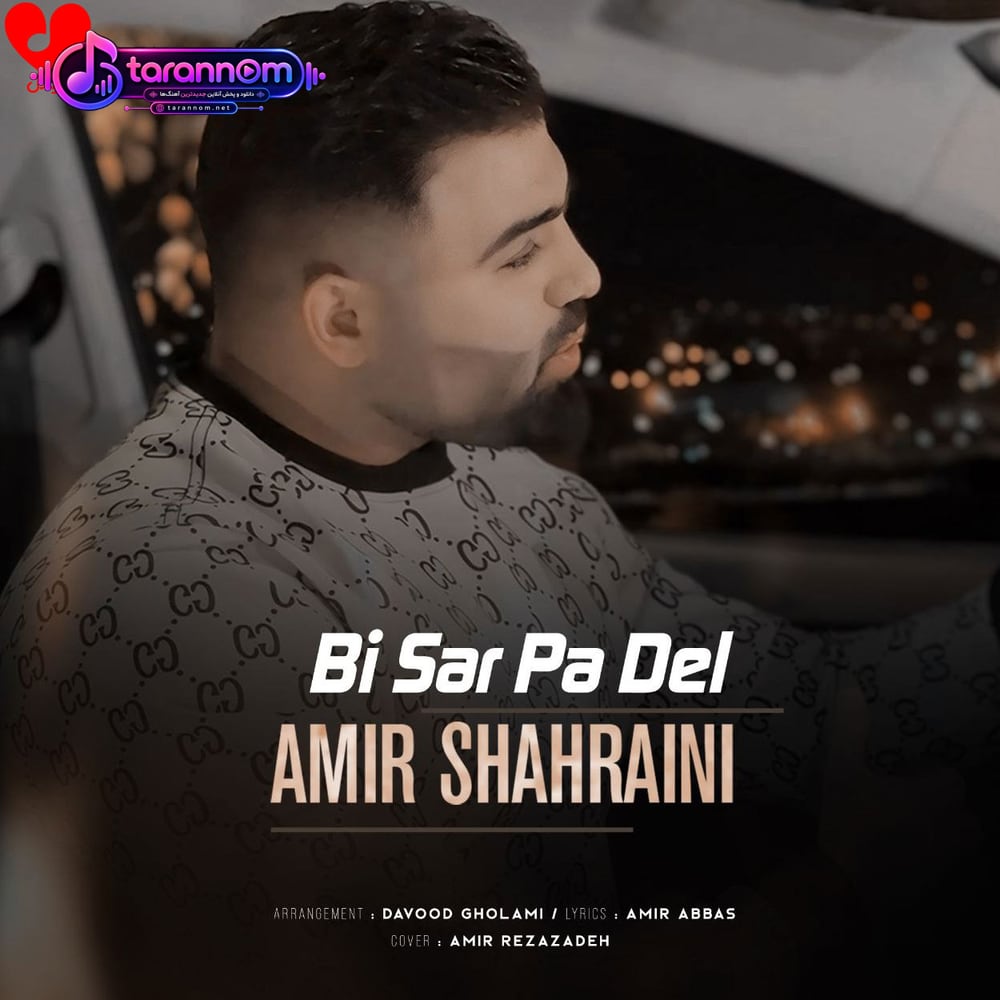 بی سرو پا دل