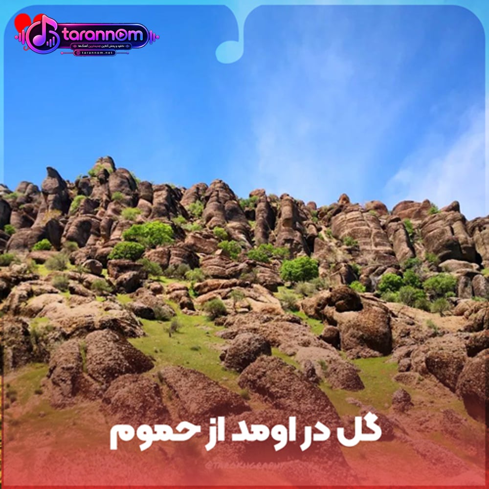 گل در اومد از حموم