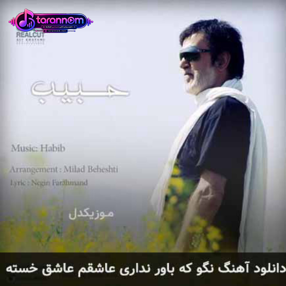 نگو که باور نداری عاشقم عاشق خسته
