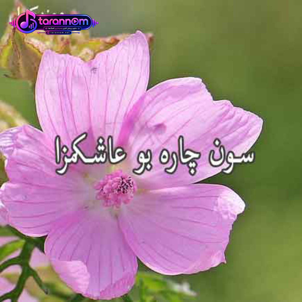 سون چاره بو عاشکمزا