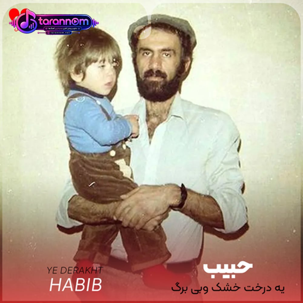 یه درخت خشک وبی برگ میون کویر داغ