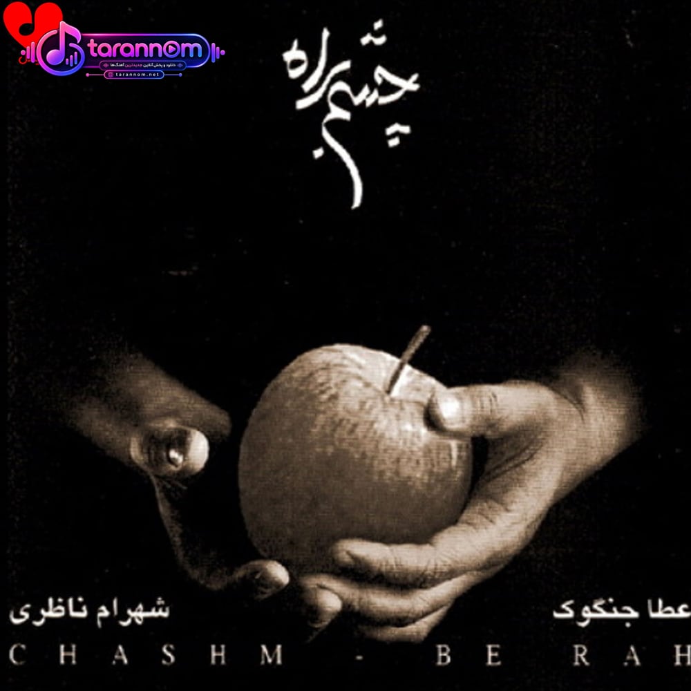 تو را من چشم در راهم