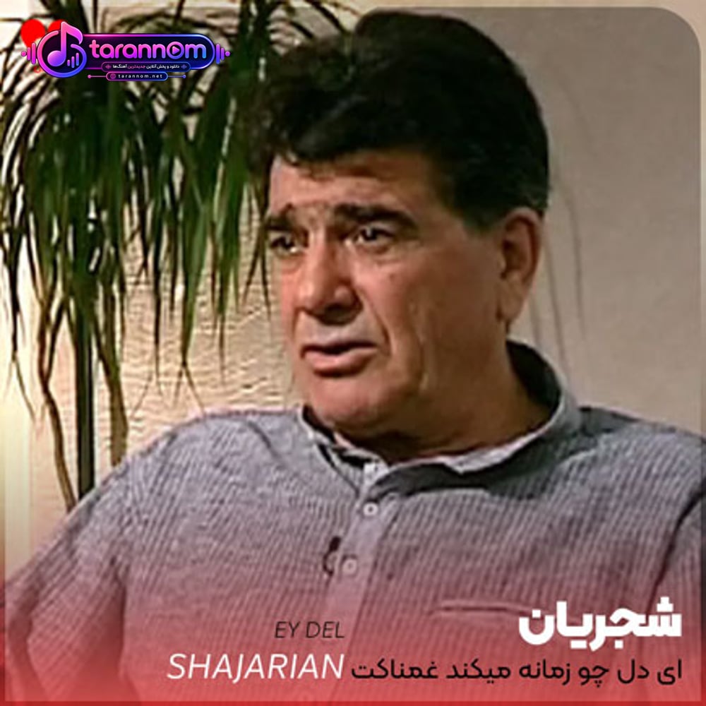 ای دل چو زمانه میکند غمناکت