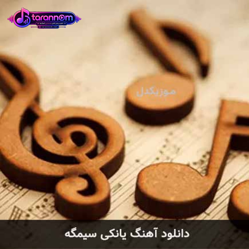 یانکی