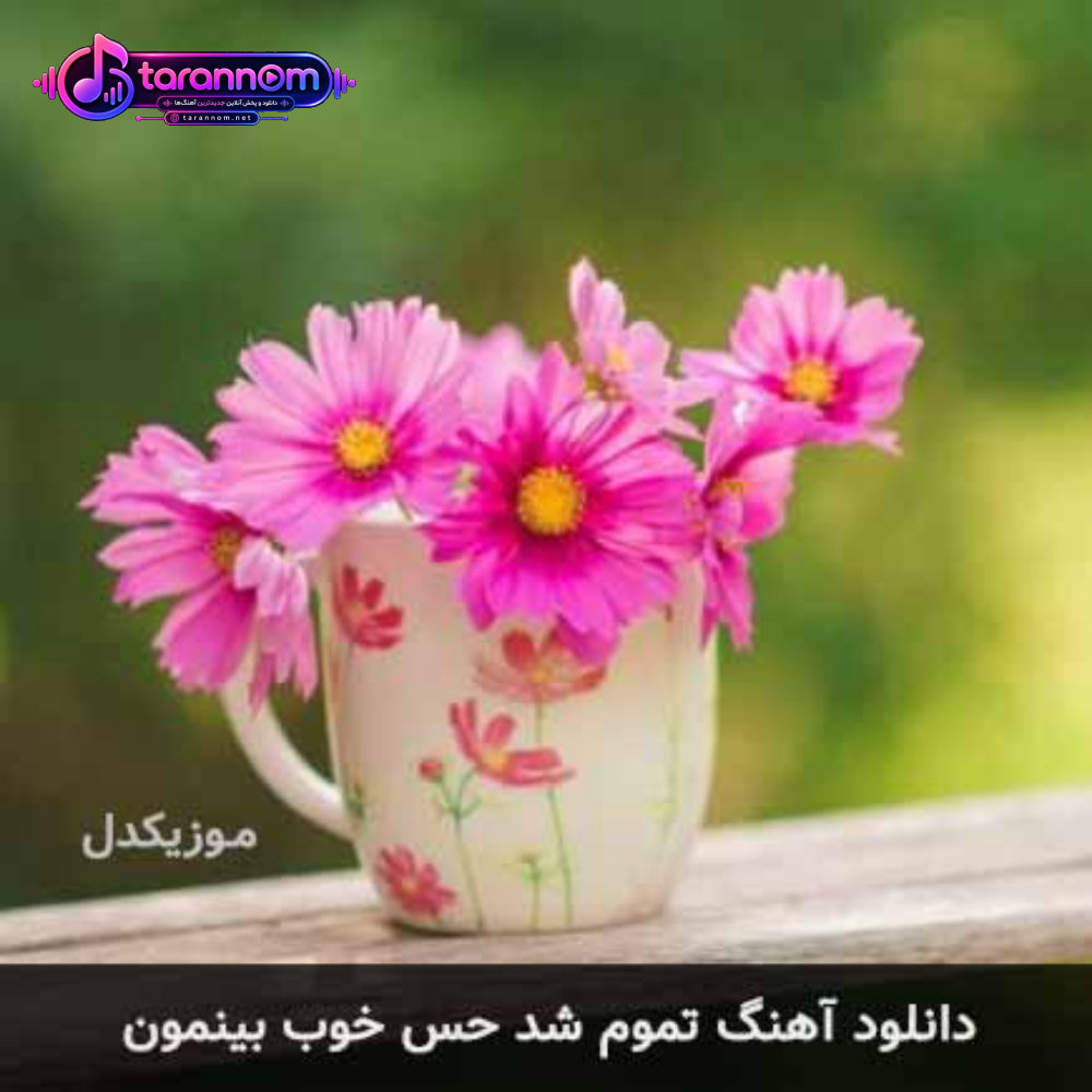 تموم شد حس خوب بینمون