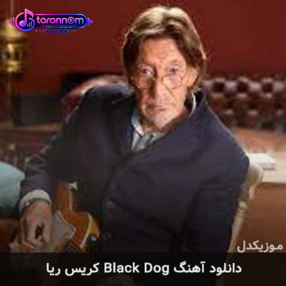 black dog