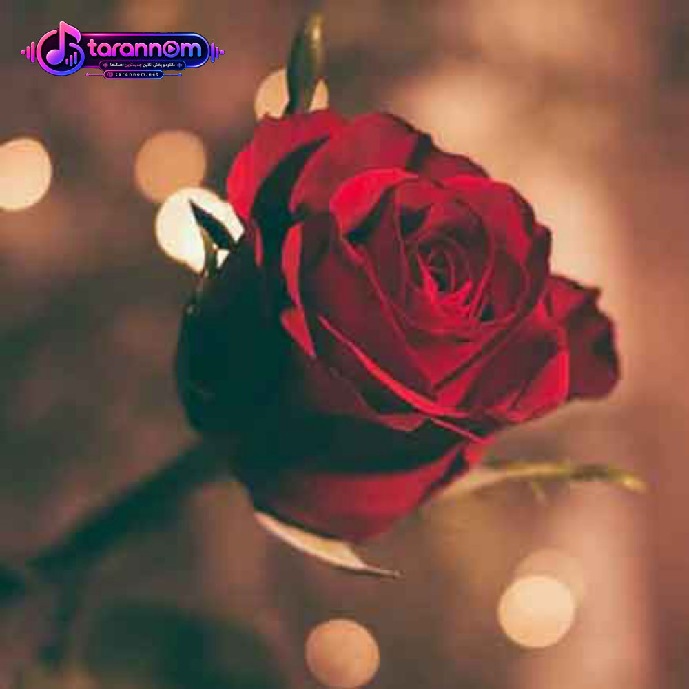 ساقی دولدور قدحی