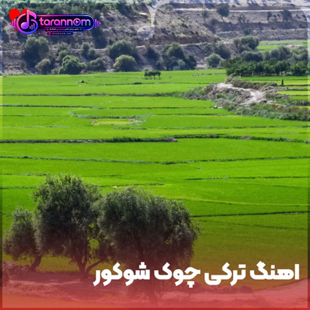 چوک شوکور بین شوکور