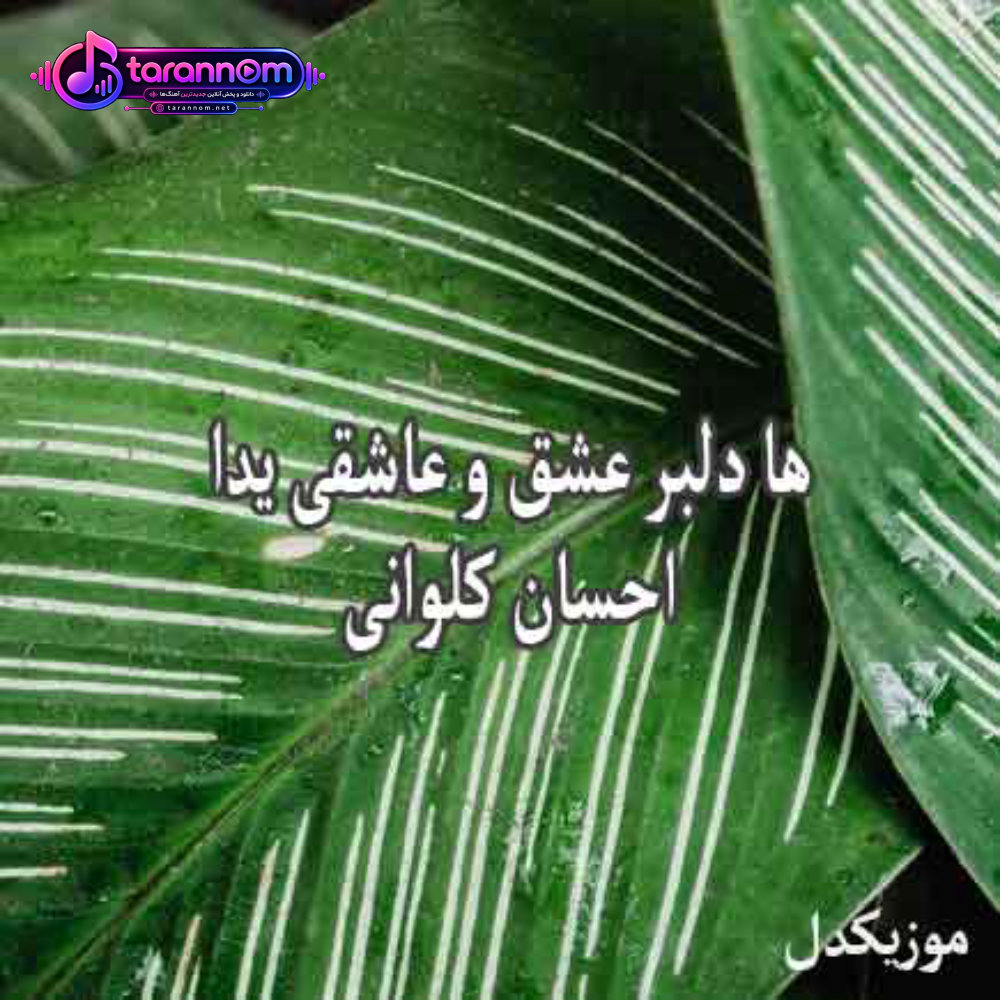 ها دلبر عشق