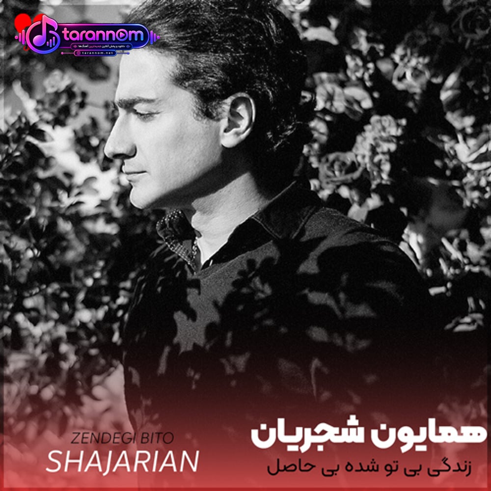 زندگی بی تو شده بی حاصل