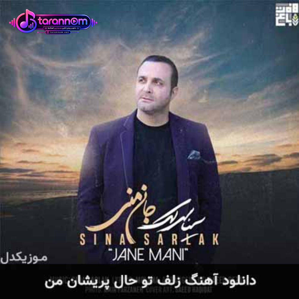 زلف تو و حال پریشان من
