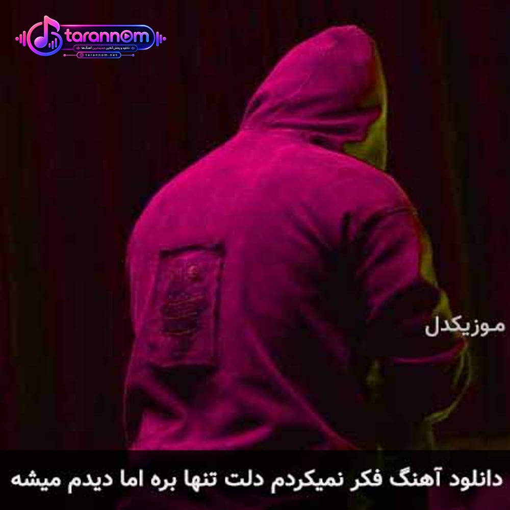 فکر نمیکردم دلت تنها بره اما ديدم میشه