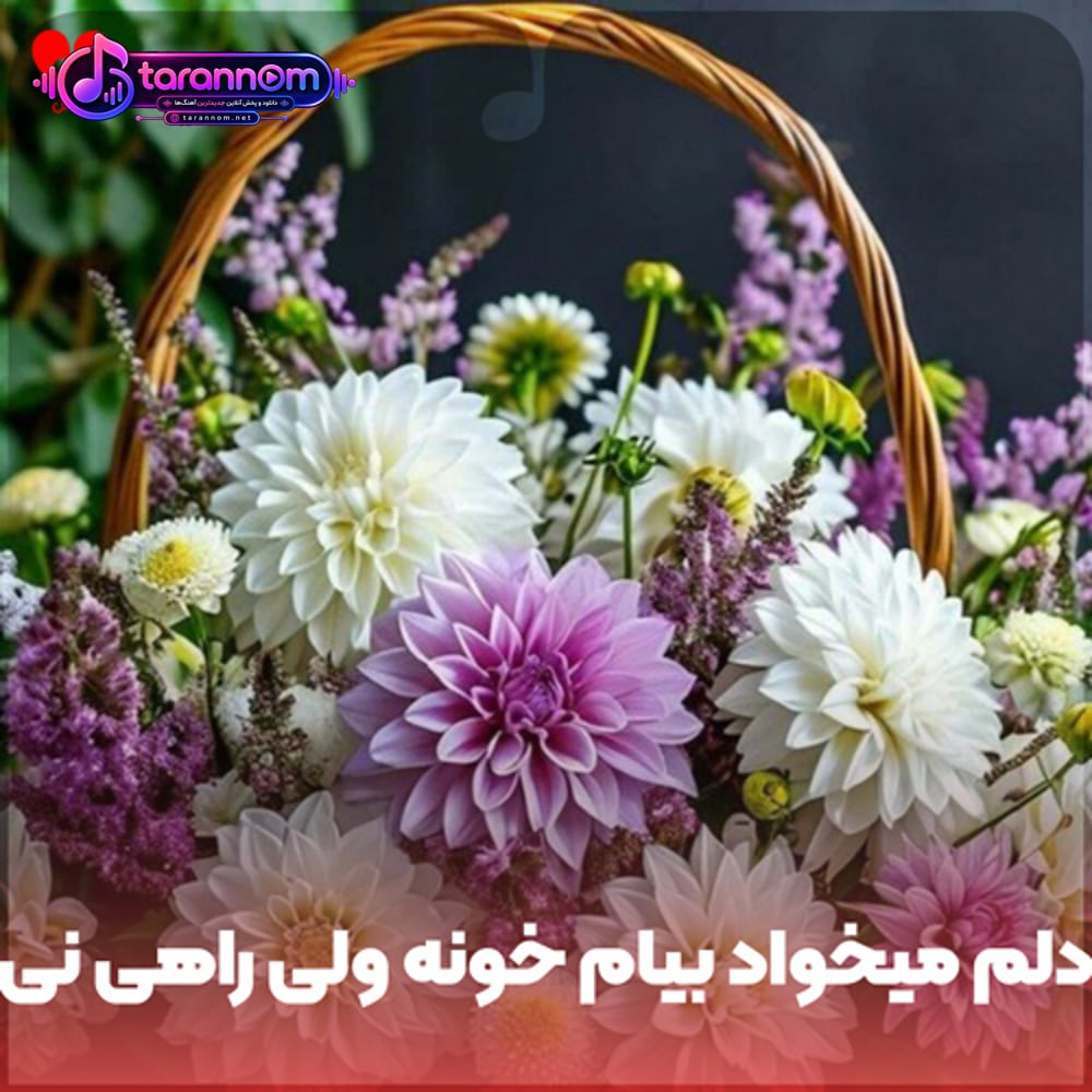 دلم میخواد بیام خونه ولی راهی نی