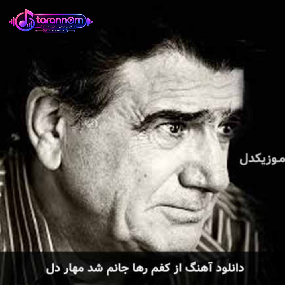 از کفم رها جانم شد مهار دل