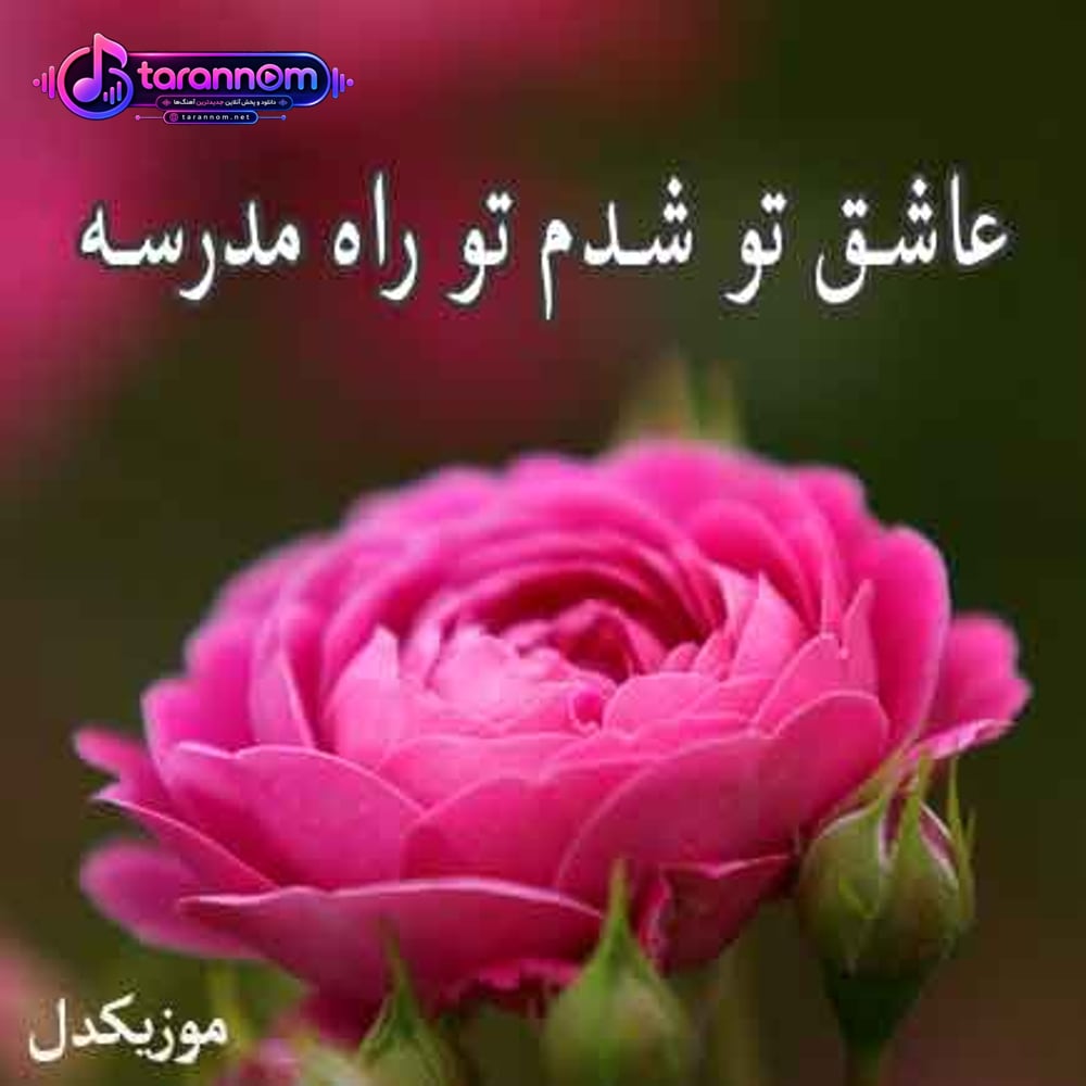 عاشق تو شدم