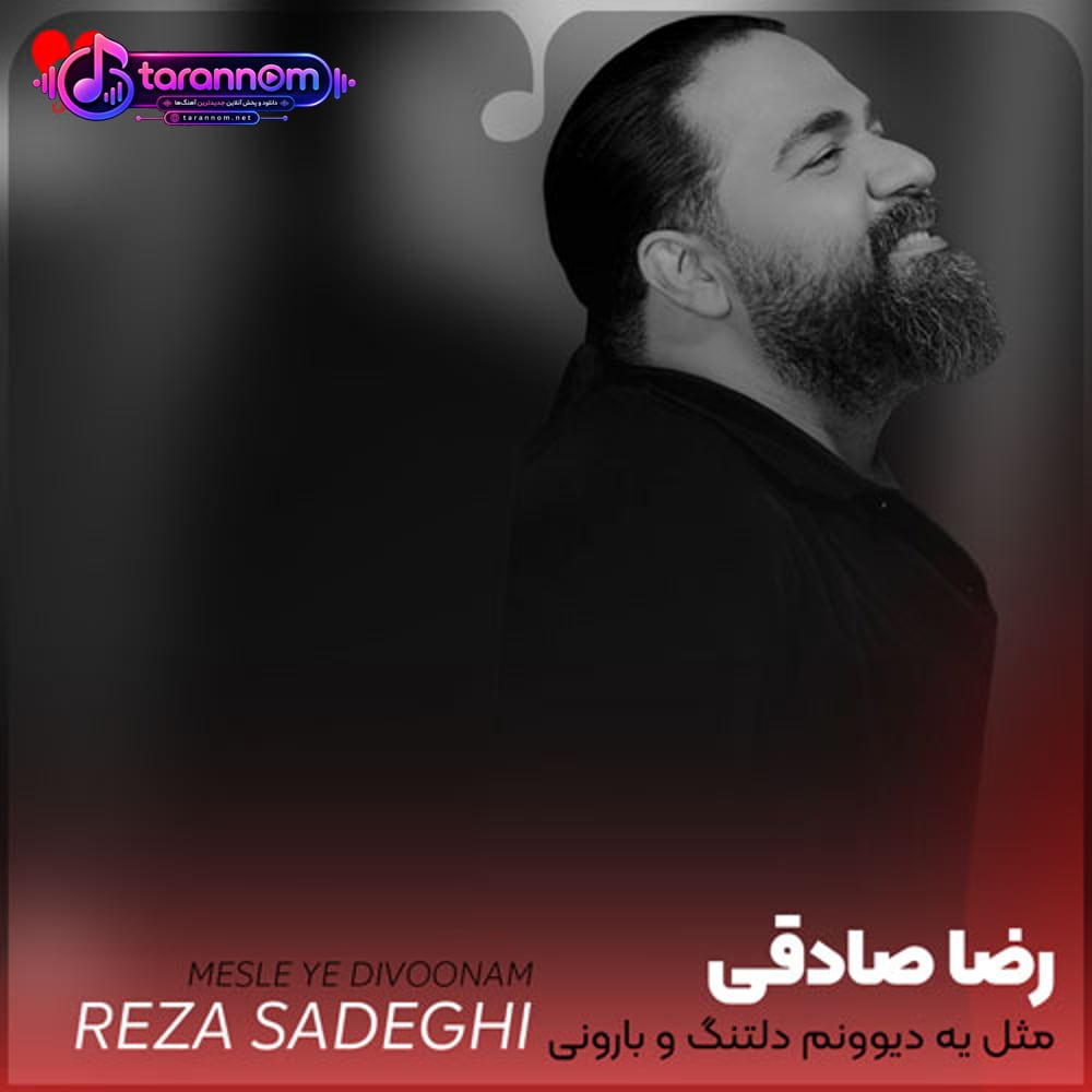 مثل یه دیوونم دلتنگ و بارونی