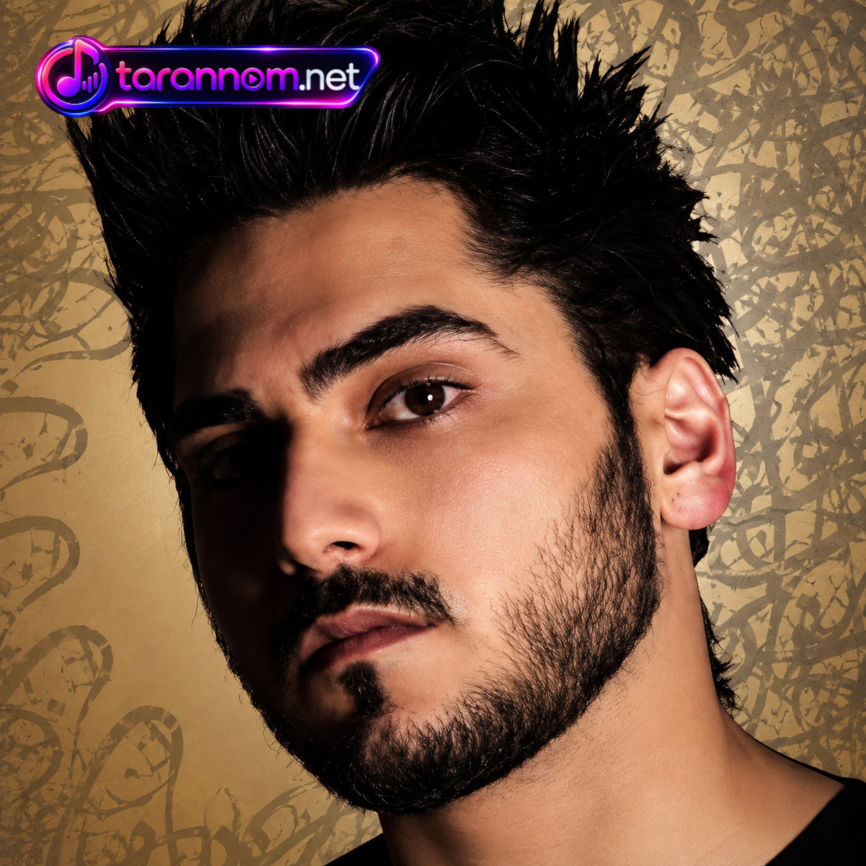 عرفان پایدار