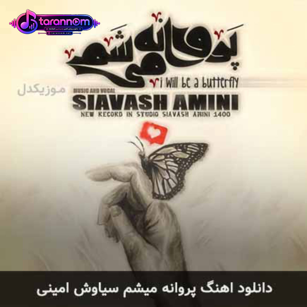 پروانه میشم