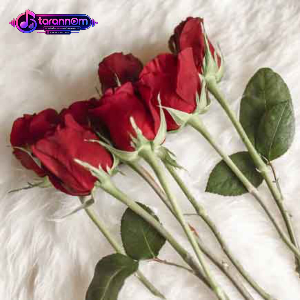 خیانت کردی دست غریبه گردی