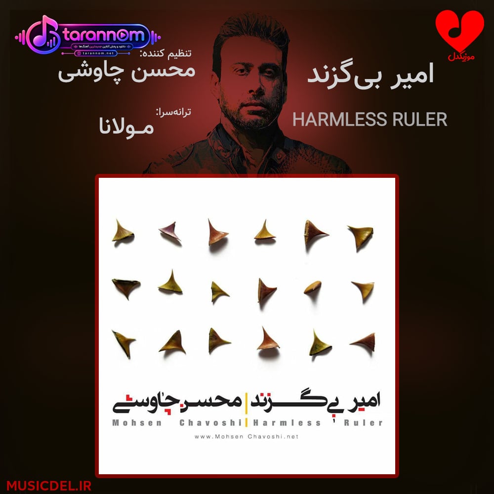 امیر بی گزند