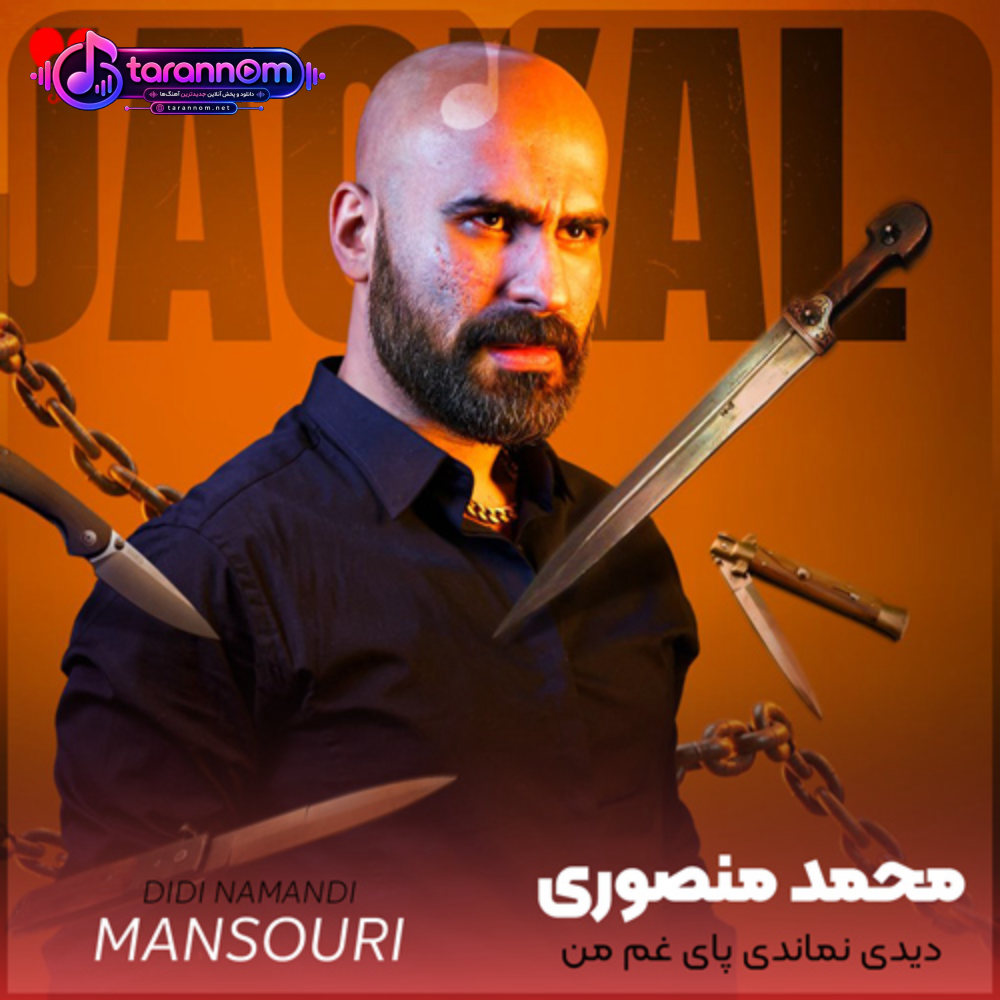 دیدی نماندی پای غم من