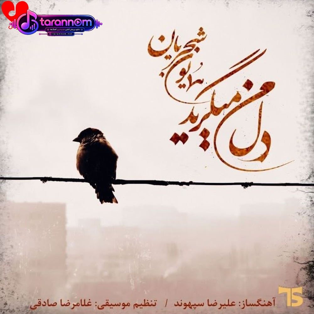 دل من میگرید