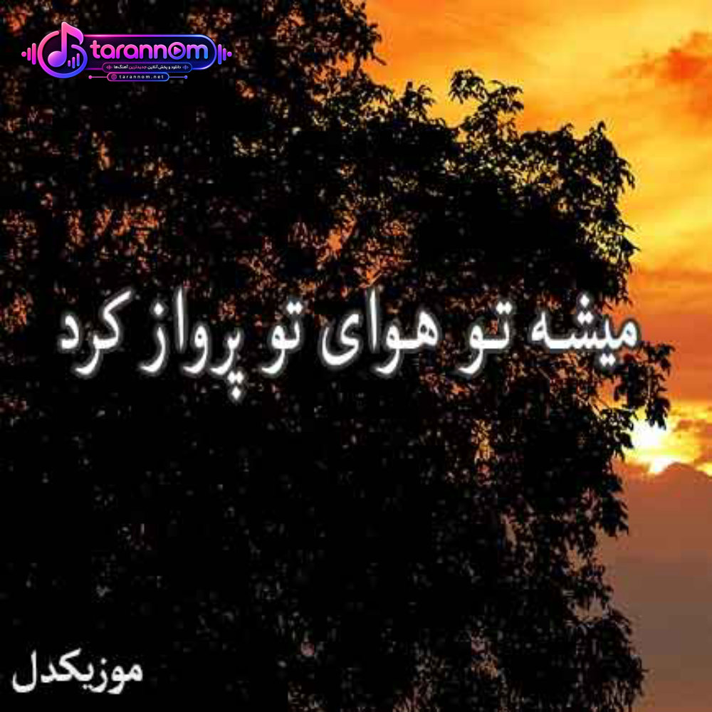 میشه تو هوای تو پرواز کرد