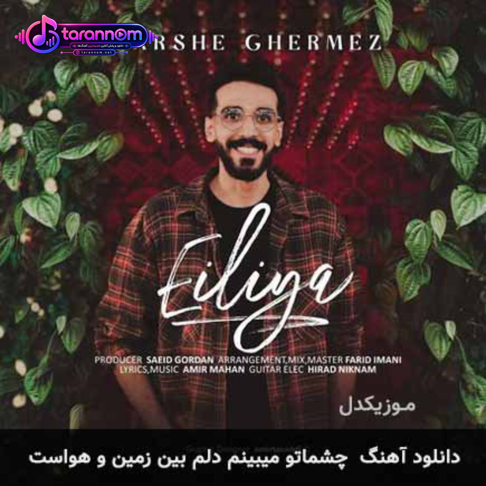 چشماتو میبینم دلم بین زمین و هواست