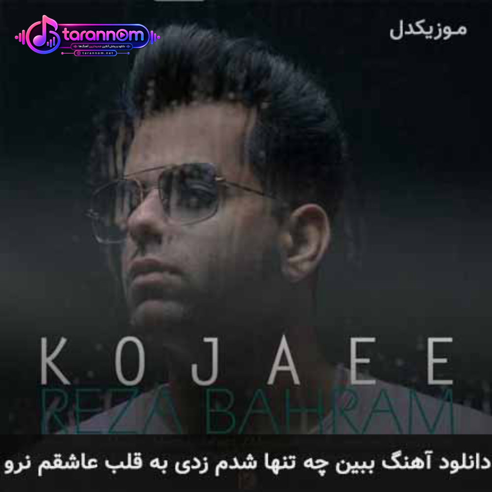 ببین چه تنها شدم زدی به قلب عاشقم نرو