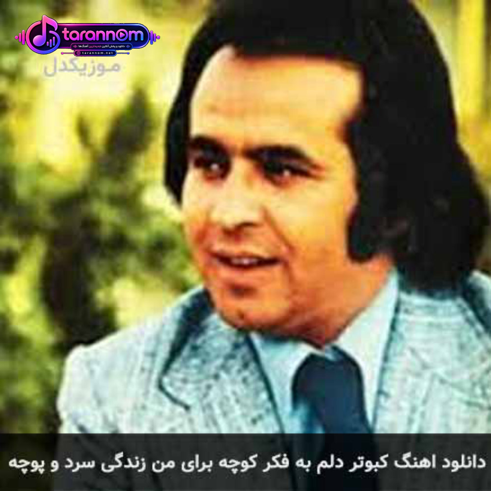 کبوتر دلم به فکر کوچه برای من زندگی سرد و پوچه