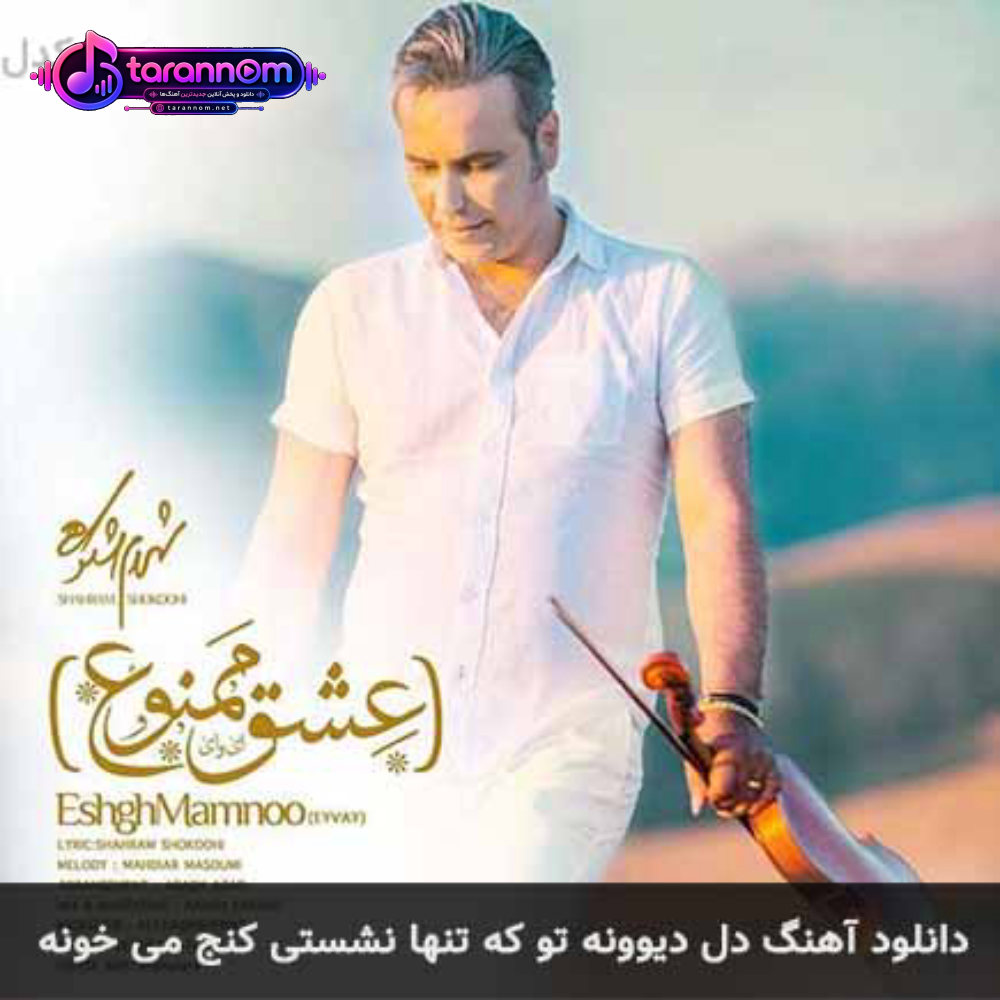 دل دیوونه تو که تنها نشستی کنج میخونه