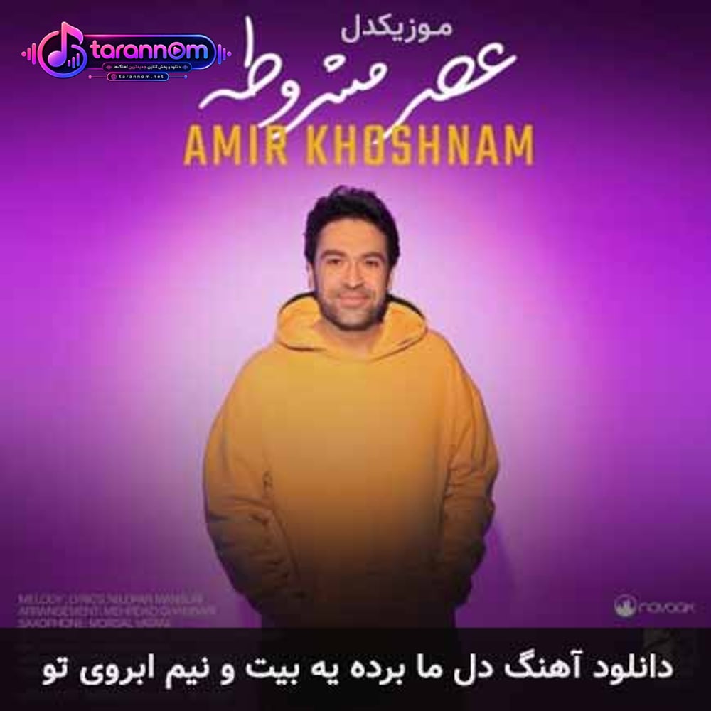 دل ما برده یه بیت و نیم ابروی تو