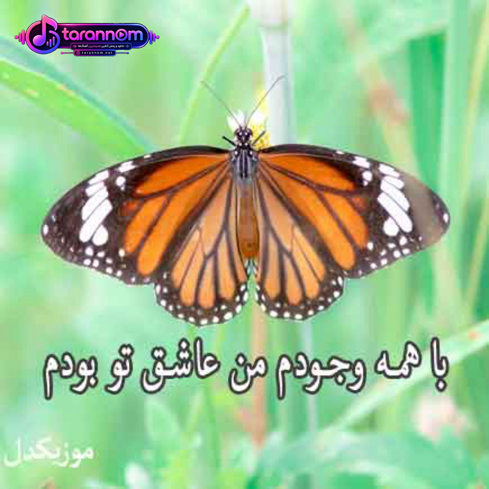 با همه وجودم