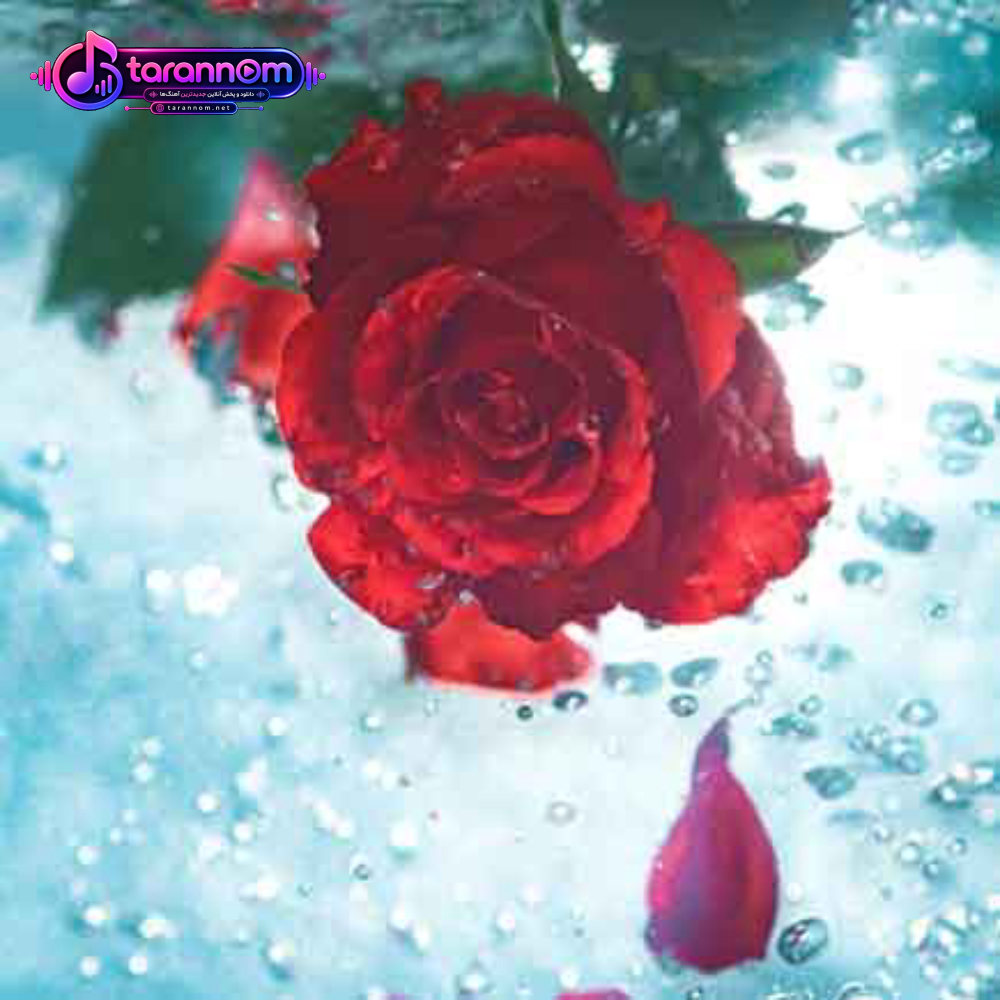 اسمون دلم سردو تاریکه