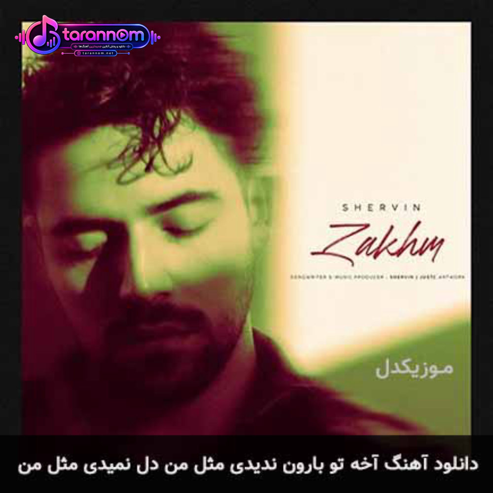 آخه تو بارون ندیدی مثل من دل نمیدی مثل من