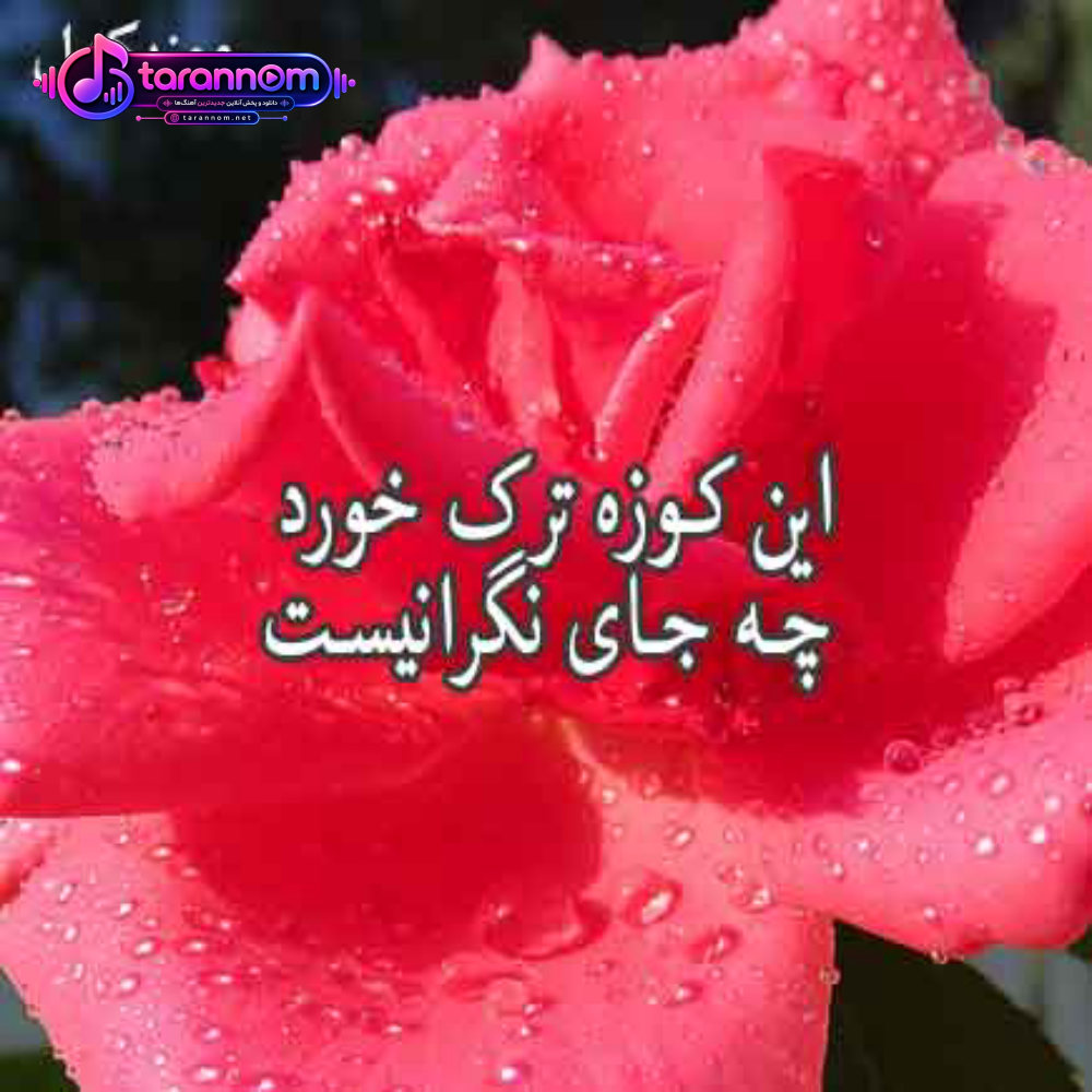 این کوزه ترک خورد