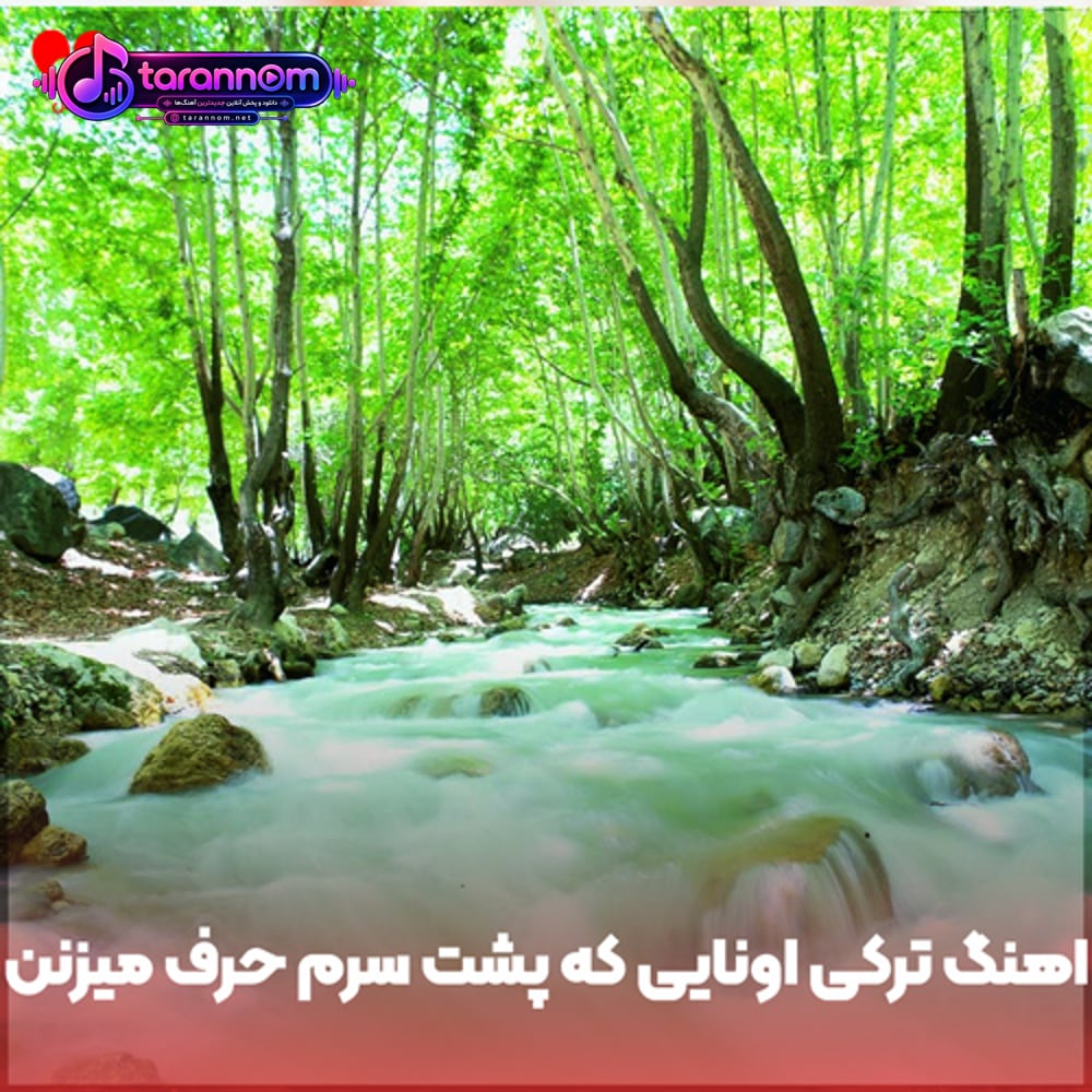 ترکی اونایی که پشت سرم حرف میزنن جلوی خودم خشکشون میزنه