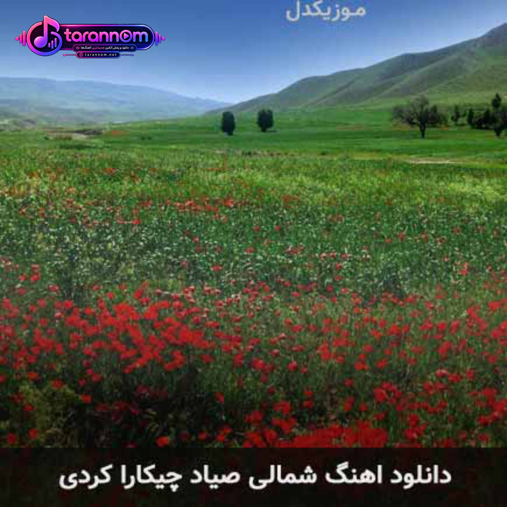 شمالی صیاد چیکارا کردی