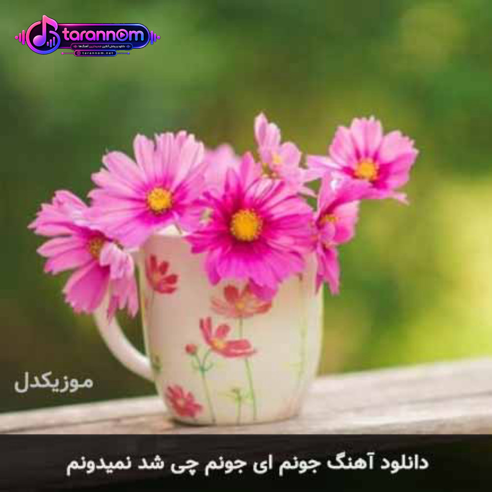جونم ای جونم چی شد نمیدونم