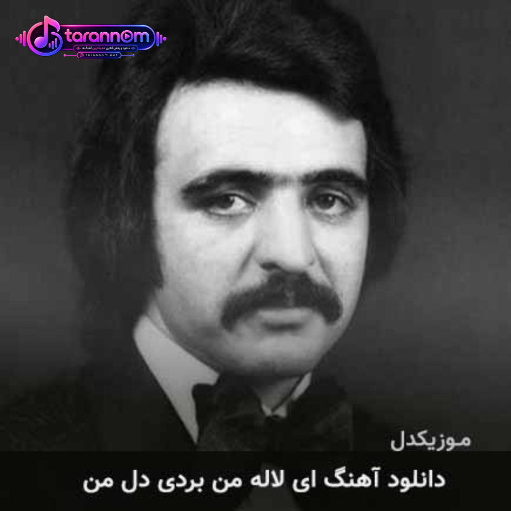 ای لاله من بردی دل من