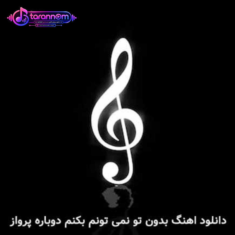بدون تو نمیتونم بکنم دوباره پرواز