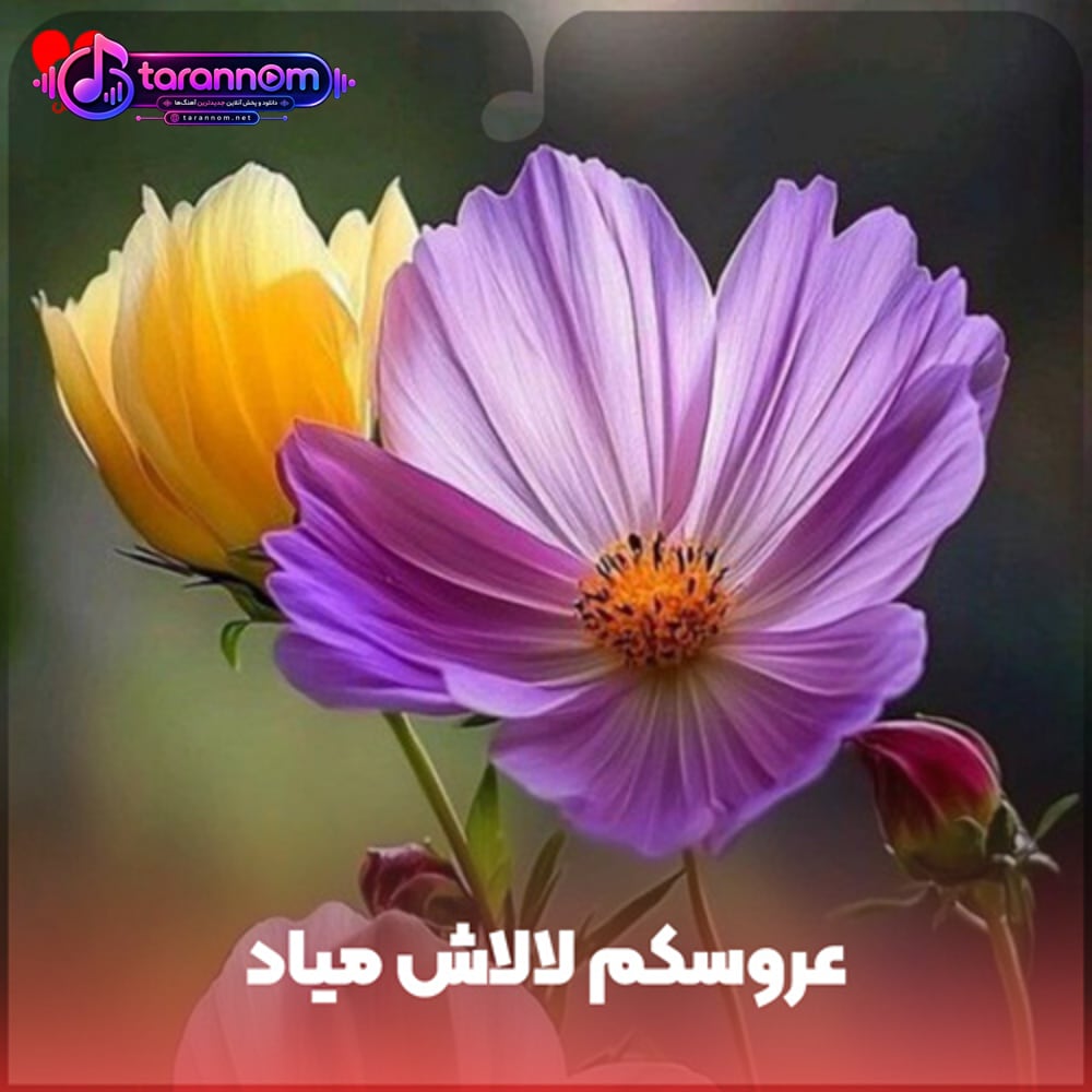 عروسکم لالاش میاد (اصلی + ریمیکس)