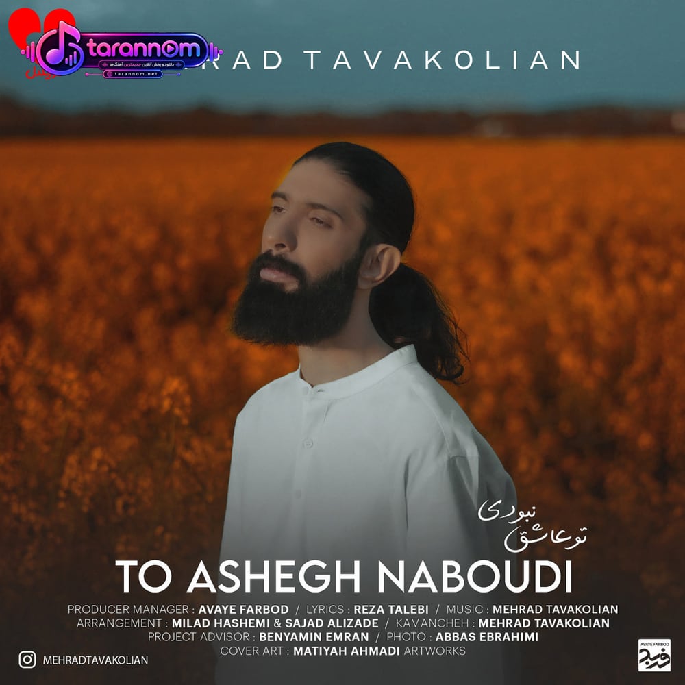 تو عاشق نبودی