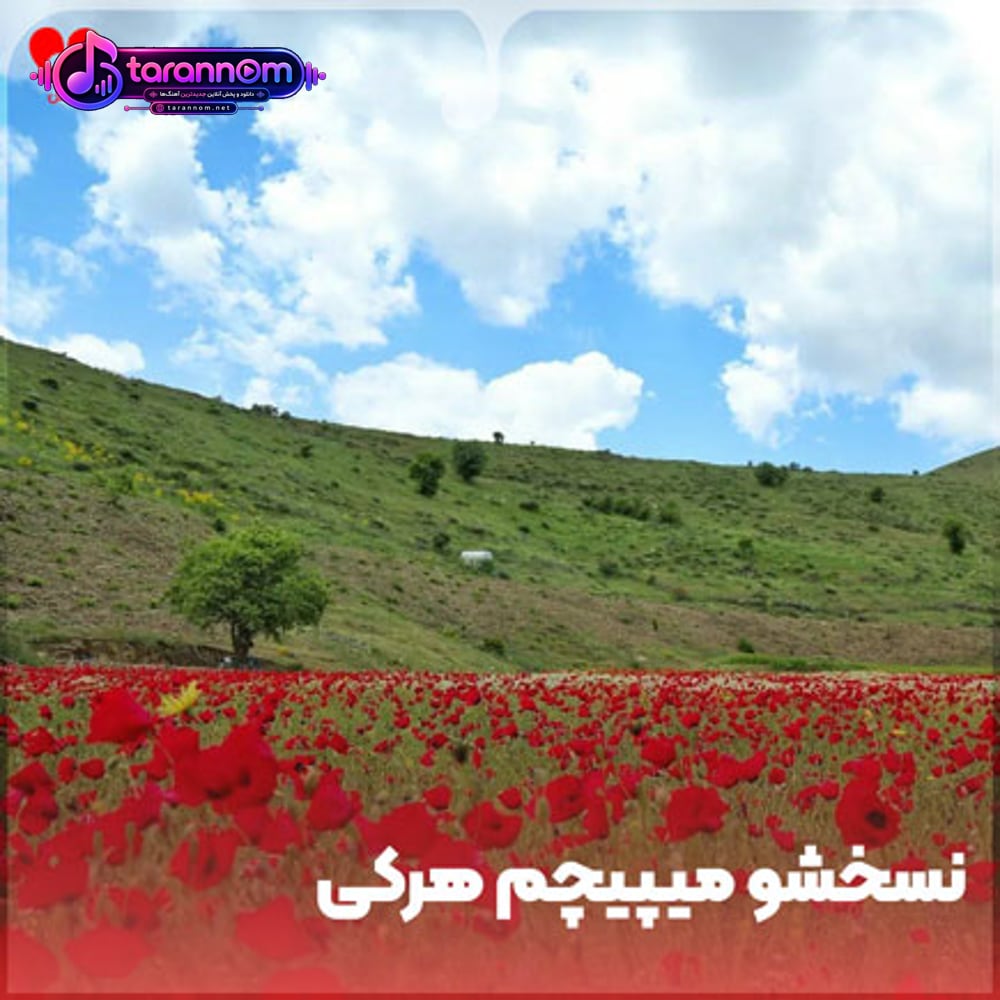 نسخشو میپیچم هرکی سمت تو بیاد من به دنیا نمیدم